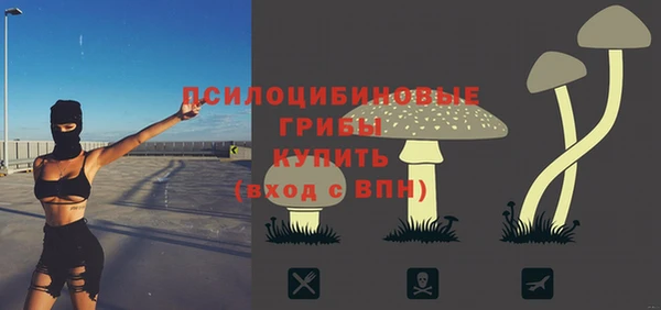 гидропоника Аркадак